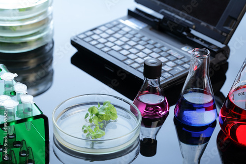 Photo: lab lab