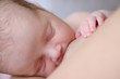 eating newborn