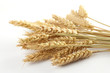 Foto: Stalks of wheat ears Stalks of wheat ears