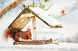 red squirrel in the bird feeder