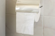 toilet paper roll on the holder