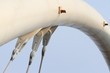 Foto: ponte ponte