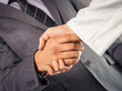 Handshake