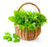 Photo: green herbs in braided basket isolated on white background green herbs in braided basket isolated on white background