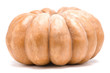 zucca