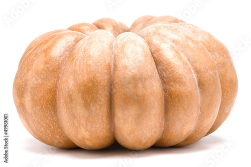 Photo: zucca zucca
