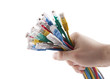 Hand holding colorful internet cables. Clipping path included.