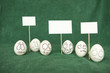 Eggs.
