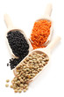 Lentils