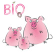 Bio - Schwein - Wurst - Fleisch - Gesundes Essen