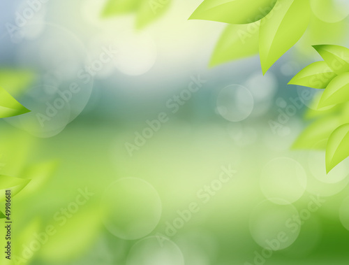Illustration: Natural spring and summer background with selective focus and le Natural spring and summer background with selective focus and le