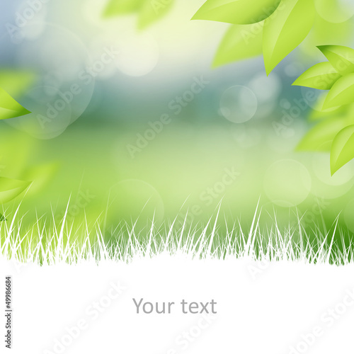 Illustration: Natural spring and summer background with selective focus and co Natural spring and summer background with selective focus and co