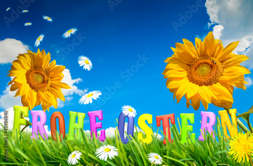 Photo: Osterwiese und Sonnenblumen Osterwiese und Sonnenblumen