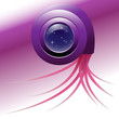 Vector: nautilus nautilus