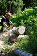 Waldarbeit 8