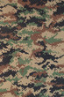 Royal thai marine  digital woodland camouflage fabric texture ba