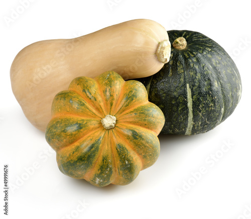 Photo: Squash Squash
