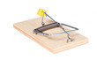 A mouse trap with cheese