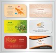 Illustration: business card - 0005 business card - 0005