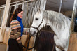 Woman and white horse inside a stall, horizon format