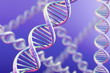 DNA Magnification