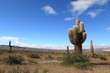 Kakteen in der Quebrada Argentinien