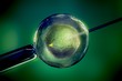 In vitro fertilization.