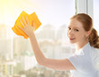 happy girl housewife washes a window