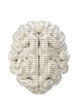 Binary brain