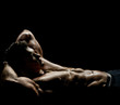 muscular sexy guy