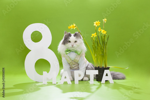 Photo: women's day women's day