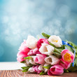 Tulpen vor Frühlingshintergrund