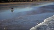 Video: riding horses on the beach saltburn uk riding horses on the beach saltburn uk
