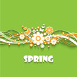Spring background