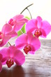 Foto: orchideenrispe orchideenrispe