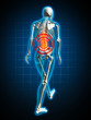 Illustration: human back pain rückenschmerzen human back pain rückenschmerzen