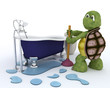 Illustration: tortoise plumbing contractor tortoise plumbing contractor