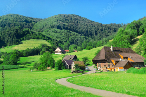 Photo: House in the mountains House in the mountains
