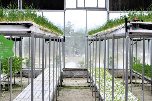 Photo: modern agriculture modern agriculture
