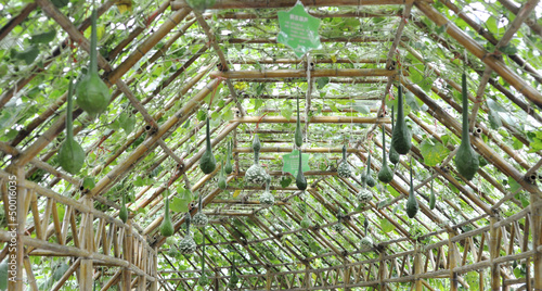 Photo: modern agriculture modern agriculture
