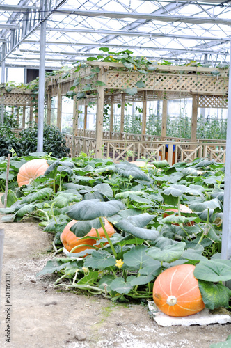 Photo: modern agriculture modern agriculture