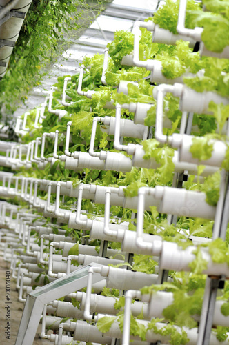 Photo: modern agriculture modern agriculture