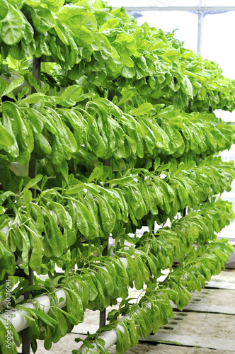 Photo: modern agriculture modern agriculture