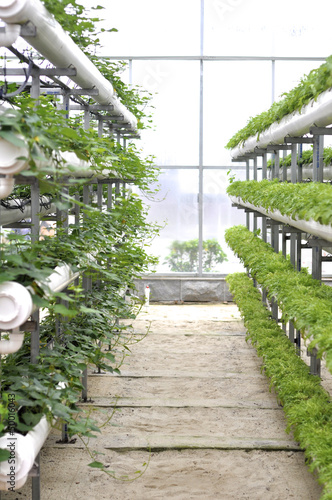 Photo: modern agriculture modern agriculture