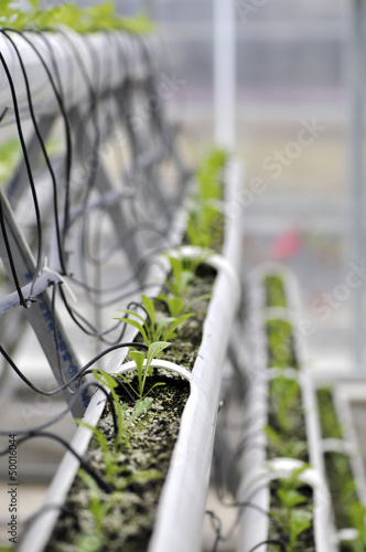 Photo: modern agriculture modern agriculture