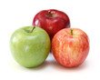 apples