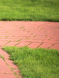 Beautiful green lawns perfectly cut for background