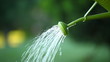 watering can