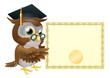 Owl diploma certificate background