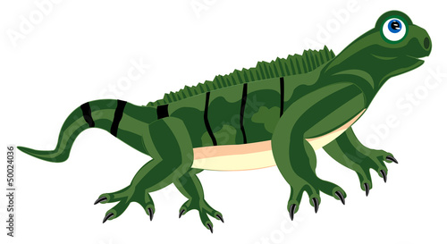 Vector: Pangolin iguana on white background Pangolin iguana on white background